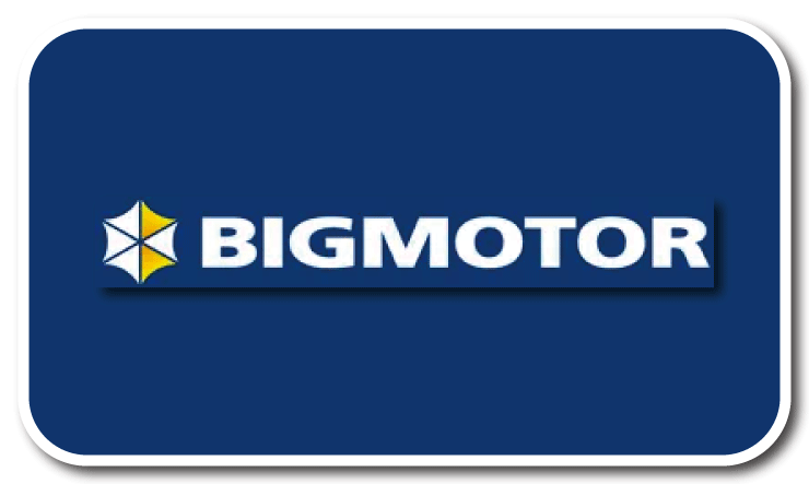 ビッグモーター 買取